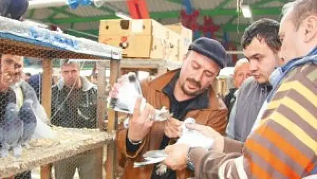 Ne dolar ne altın yatırımın hası güvercin