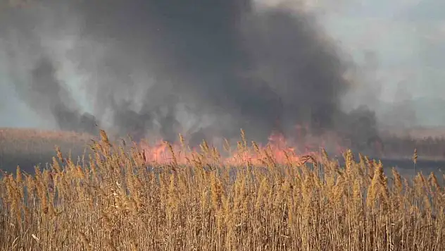 Beyşehir Gölü sazlıklarında çıkan yangın balıkçıları korkuttu