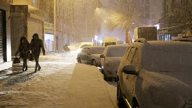 Van'da 451 yerleşim yerinin yolu kardan kapandı