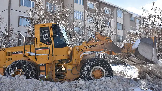 Bitlis'te 49 köy yolu kardan kapandı