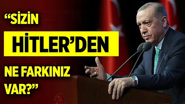 Cumhurbaşkanı Erdoğan: Sizin Hitler'den ne farkınız var?