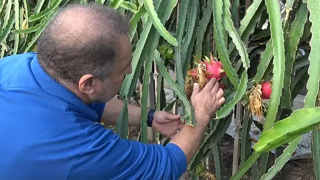 İnternette görüp üretici oldu, taleplere yetişemiyor