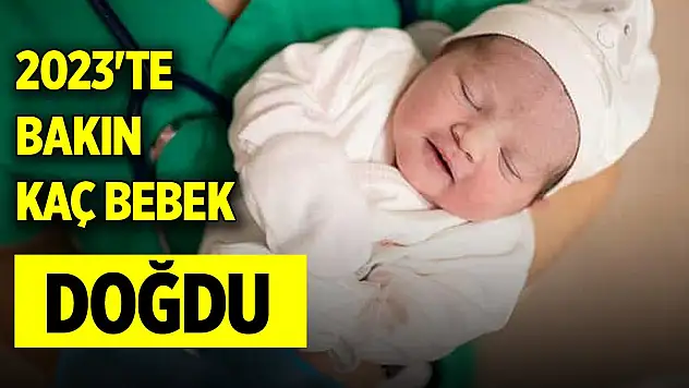 2023'te bakın kaç bebek doğdu