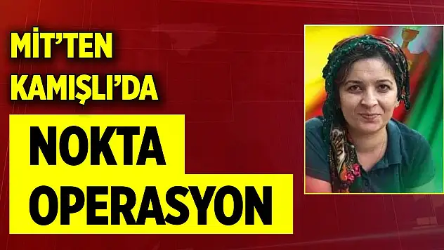 Son Dakika! MİT, Remziye Altığ'ı Suriye'de etkisiz hale getirdi