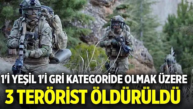 Şehitlerimizin kanı yerde kalmadı: 1'i yeşil 1'i gri kategoride olmak üzere 3 terörist öldürüldü
