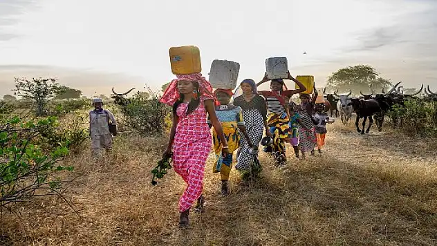 Birleşmiş Milletler'den Afrika ülkesi için kıtlık uyarısı