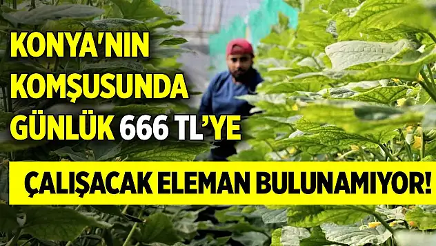 Konya'nın komşusunda günlük 666 TL'ye çalışacak eleman bulunamıyor!