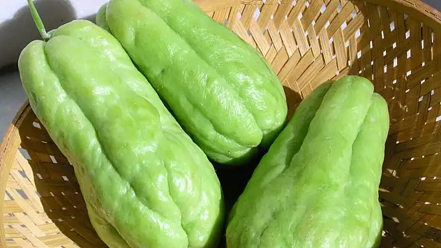 Sebzelerin yeni yıldızı! Görüntüsüyle de dikkat çekiyor