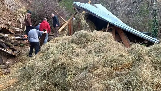 Toprak kayması sonucu ahır çöktü: 2 hayvan telef oldu