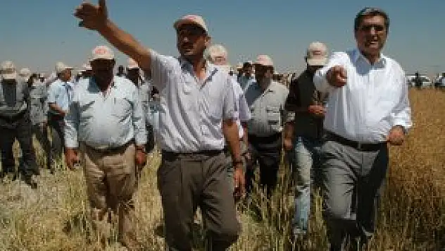 Konya Şeker'den ayçiçeğine yüz güldüren fiyat