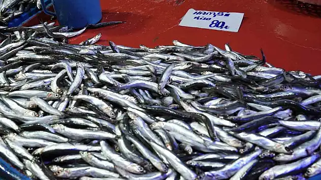 Hava şartları balık fiyatlarını etkiledi