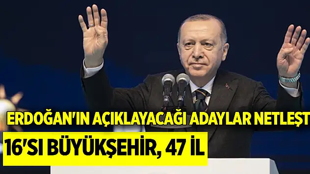 Erdoğan'ın açıklayacağı adaylar netleşti: 16'sı büyükşehir, 47 il