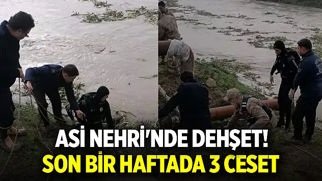 Asi Nehri'nde dehşet! Son bir haftada 3 ceset