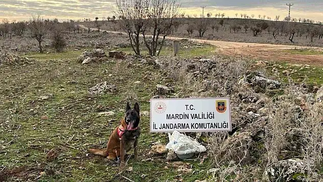 Yola tuzaklanan EYP imha edildi