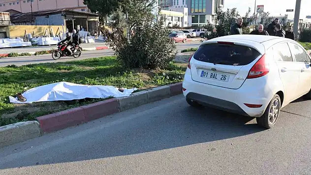 Yolun karşısına geçmek isterken canından oldu