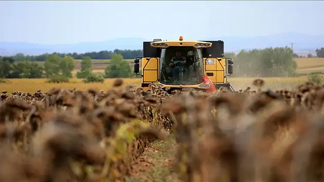 Ayçiçeği tohumu ve yağında gümrük vergisi oranları düşürüldü