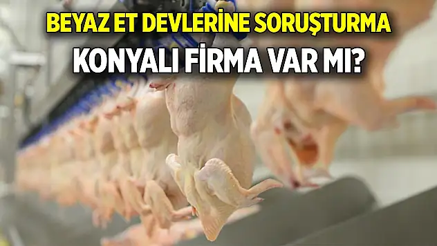 Beyaz et devlerine soruşturma Konyalı firma var mı?