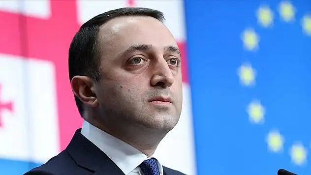 Gürcistan Başbakanı Garibaşvili görevinden istifa etti