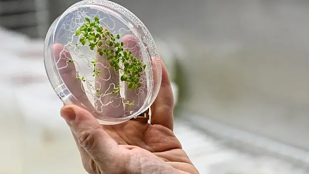 TUA 'Deney Sözlüğü'nü paylaştı