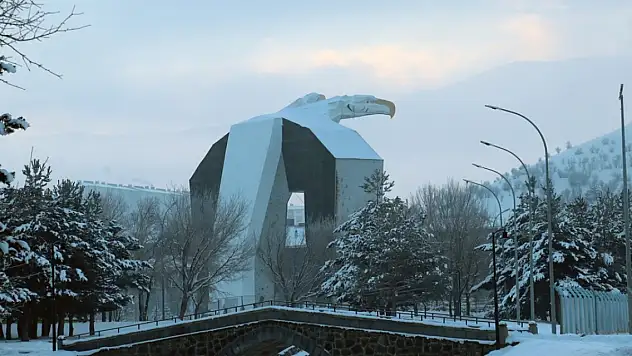 Ardahan'da termometreler gece sıfırın altında 25 dereceyi gösterdi