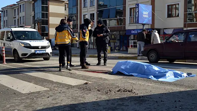 Yolun karşısına geçmek istersen kamyonun çarptığı kadın öldü