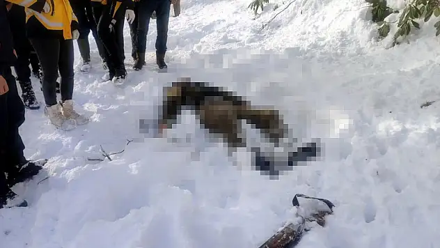 Ormanda birbirini kaybeden 2 avcıdan 1'i donarak öldü