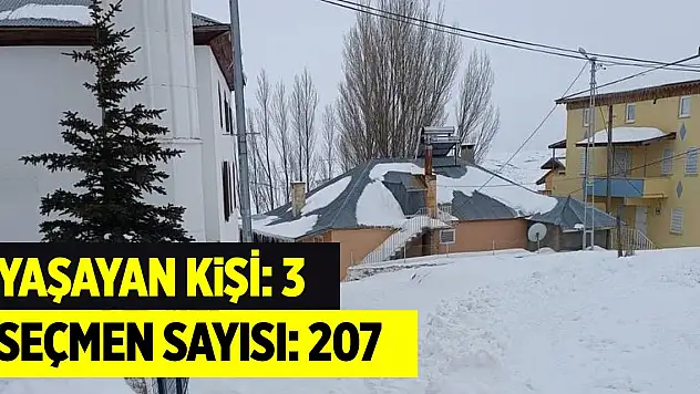 207 seçmenin bulunduğu köyde yalnızca 3 kişi yaşıyor