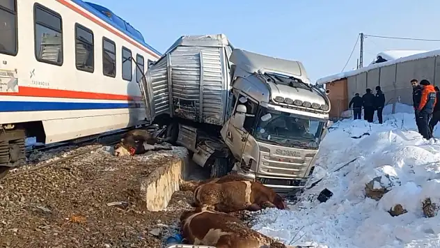 Muş'ta yolcu treni, TIR'a çarptı: 2 ölü, 2 yaralı