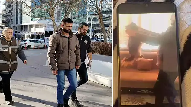 Çaldığı köpeğe eziyet edip, çektiği görüntüleri sahibine gönderdi