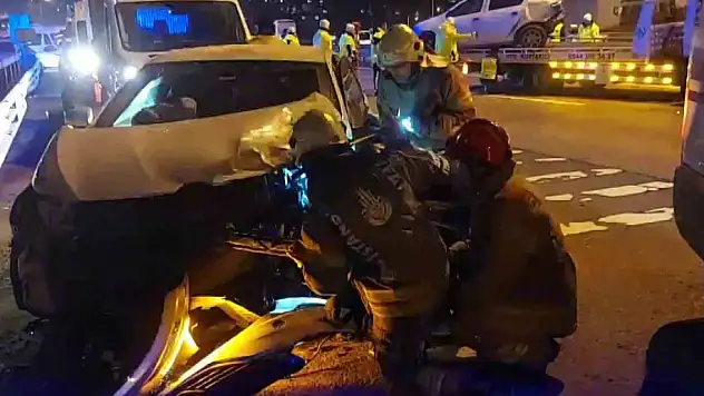 TEM Otoyolu'nda karşıya geçmeye çalışan köpek, zincirleme kazaya neden oldu: 12 yaralı