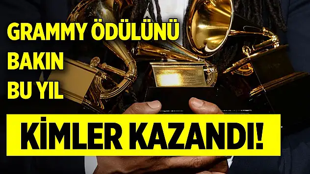 Grammy ödülünü bakın bu yıl kimler kazandı!