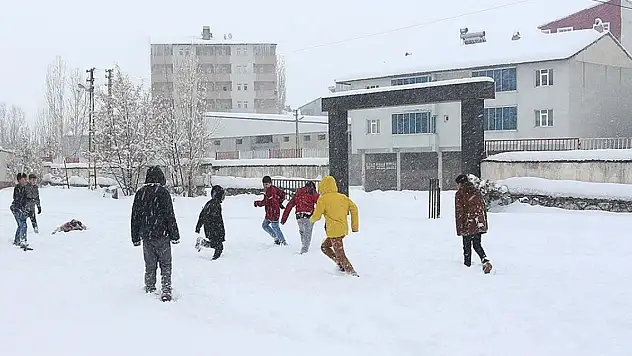 Ağrı ve Van'da kar tatili! 8 ilçede eğitime ara verildi