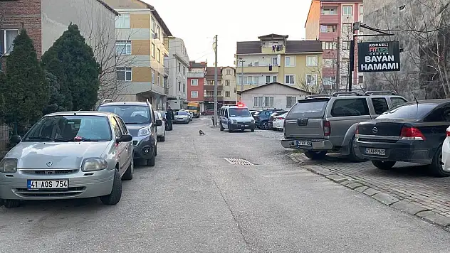 Sokak üzerinde park halindeki çok sayıda aracı çizdiler