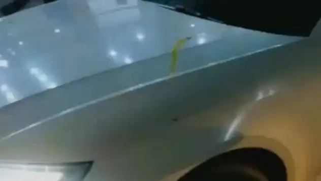 Spor kulübü başkanına yumurtalı saldırı