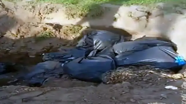 Hayvan Rehabilitasyon Merkezi'nde skandal olay!