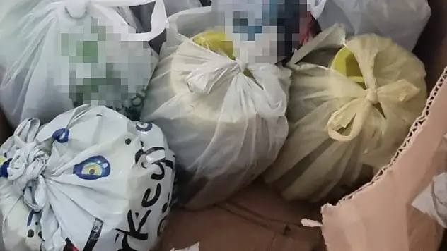 Altın değil, bal ve pekmez gümrüğe takıldı!