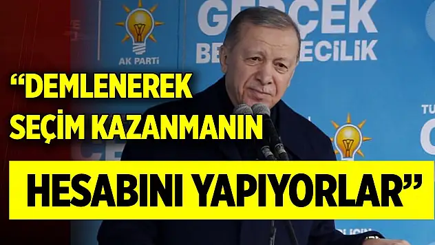 Cumhurbaşkanı Erdoğan: Demlenerek seçim kazanmanın hesabını yapıyorlar
