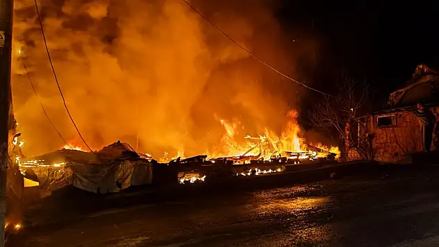 Evinde uyurken çıkan yangında hayatını kaybetti