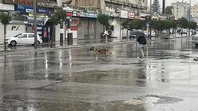 Meteoroloji uyardı! O ilde okullar tatil edildi
