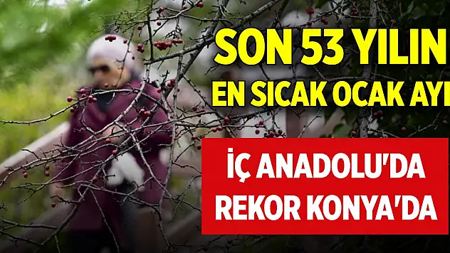 Son 53 yılın en sıcak ocak ayı... İç Anadolu'da sıcaklık rekoru Konya'nın ilçesinde