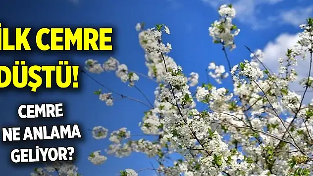 İlk cemre düştü! 2024 cemre tarihleri