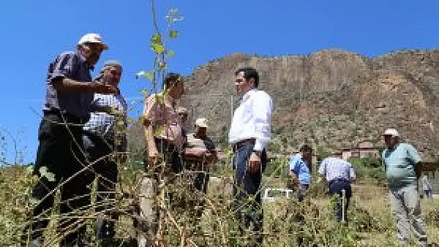 AK Parti Konya Milletvekili Altunyaldız Hadim'de