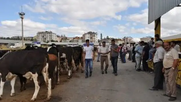 Seydişehir Belediye Başkanı Tutal, hayvan pazarını gezdi