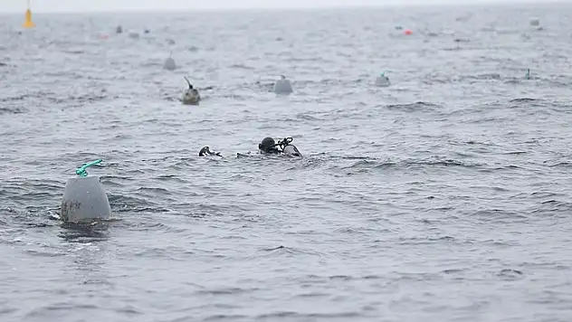Marmara Denizi'nde batan geminin enkazına 41 kez dalış yapıldı