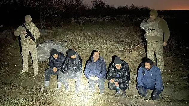 İki ilde 90 düzensiz göçmen yakalandı