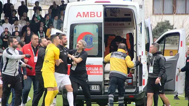 Bodrum FK-Eyüpspor maçında olaylar çıktı, kaymakam sahaya indi