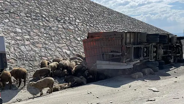 2 tırın karıştığı kazada bir kişi hayatını kaybetti