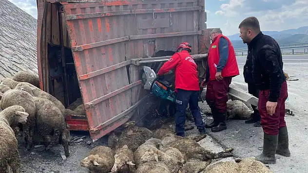 Tır kamyona arkadan çarptı 1 kişi hayatını kaybetti, 2 kişi yaralandı, 52 koyun öldü
