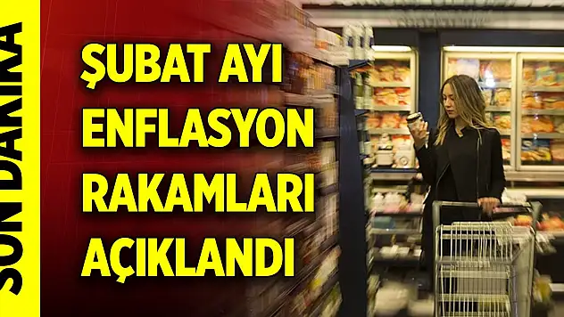Son Dakika! Şubat ayı enflasyon rakamları açıklandı