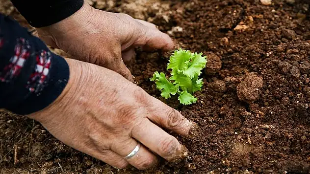 Tarımda Kadın Emeği Zirvesi başlıyor